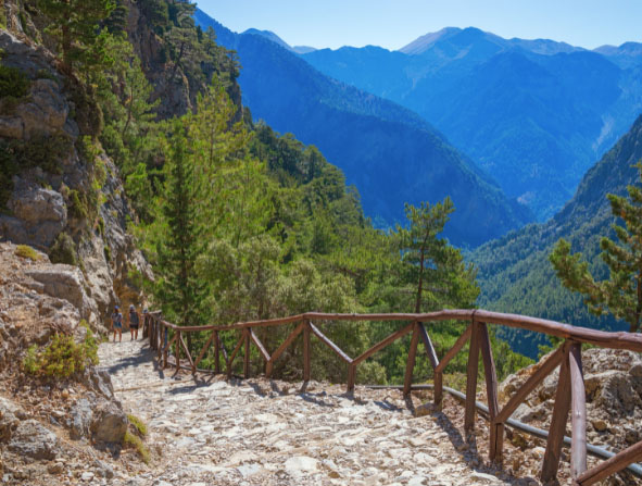 National Park of Samaria, Grecce, island Crete. Gorge Samaria. Magnificent view the top of the mountain. Forest path