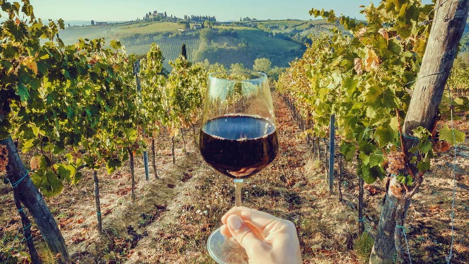 Glass of wine in hand of tourist in a natural landscape of Tuscany, with green valley of grapes. Wine beverage tasting in Italy during harvest