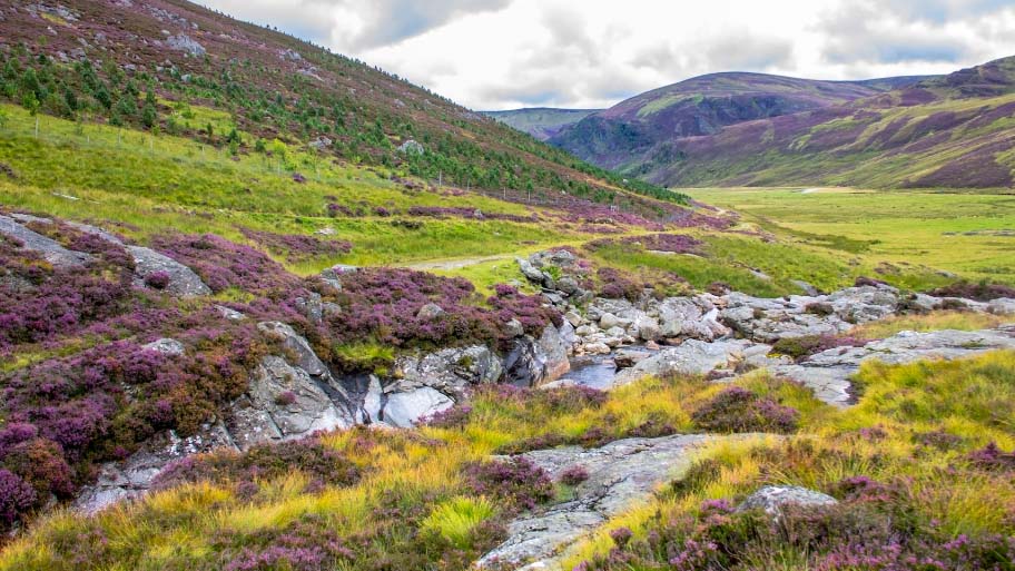 Cairngorms National Park, Scotland